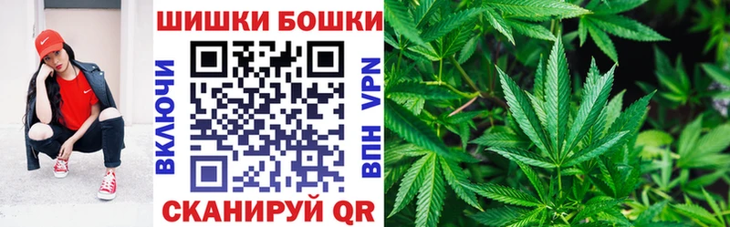 Бошки Шишки семена  Купить  Павловск 